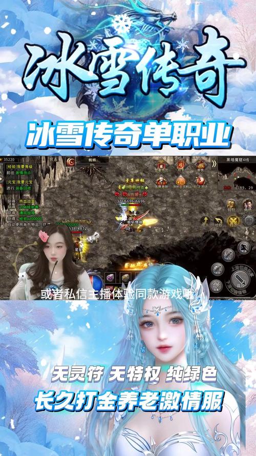 冰雪单职业怎么选职业_冰雪单职业07072_冰雪单职业技巧