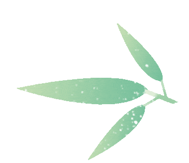 冰雪传奇手游赞助价格_冰雪版本手游传奇_冰雪传奇点卡版手游下载安装